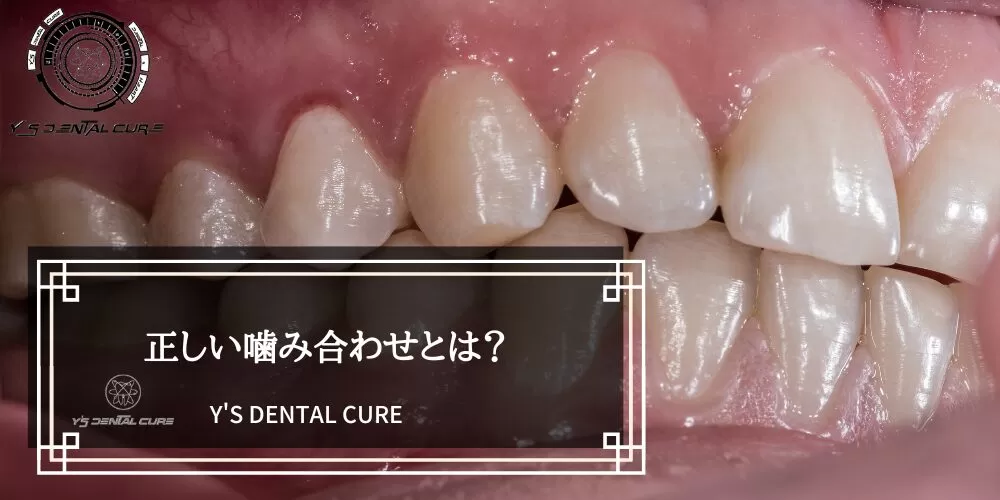 正しい噛み合わせとは?